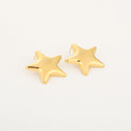 Big star - oorbellen