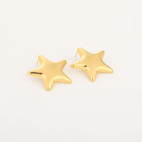 Big star - oorbellen