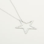 Ster - ketting